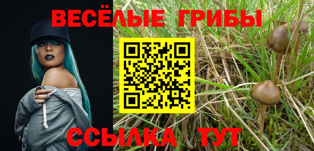 Псилоцибиновые грибы Magic Shrooms  Галлюциногенные грибы ЛСД  Вход с VPN  Улан-Удэ 